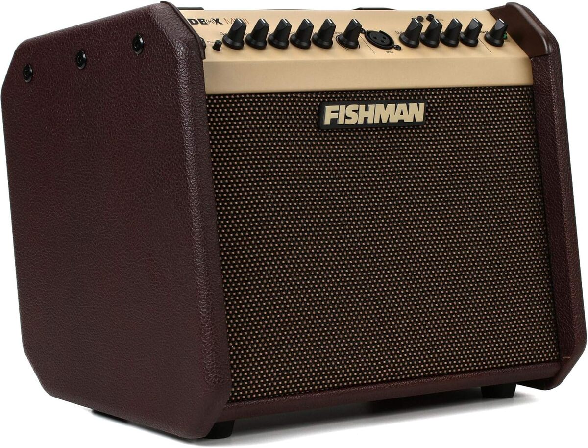 Test du Fishman PRO-LBT-600 : amplificateur Loudbox Mini Bluetooth pour guitare acoustique