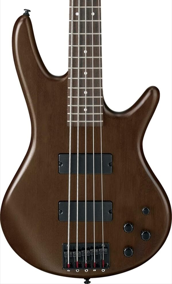 Ibanez GSR205B-WNF Guitare basse électrique 5 cordes, Marron