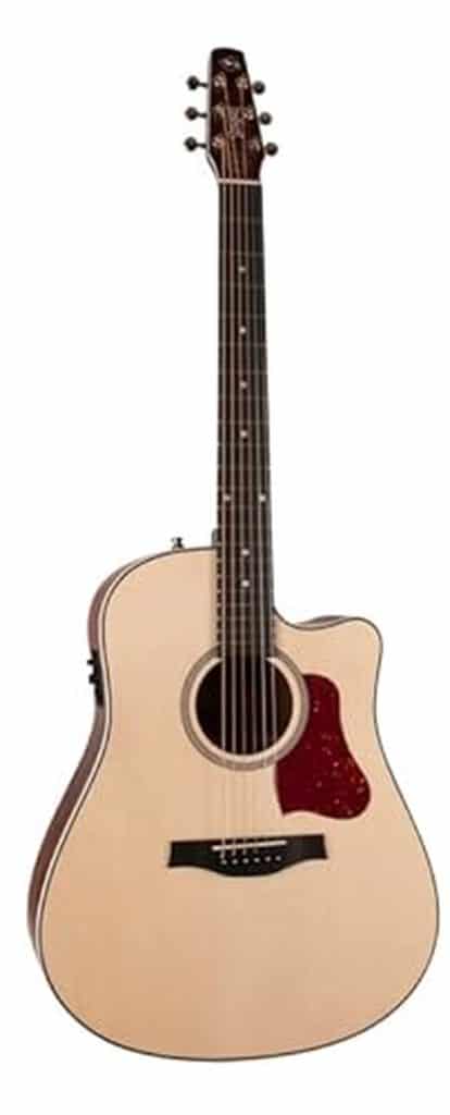 Test : guitare acoustique Seagull 6 cordes droite