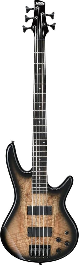Test : ibanez GSR205SM-NGT basse 5 cordes