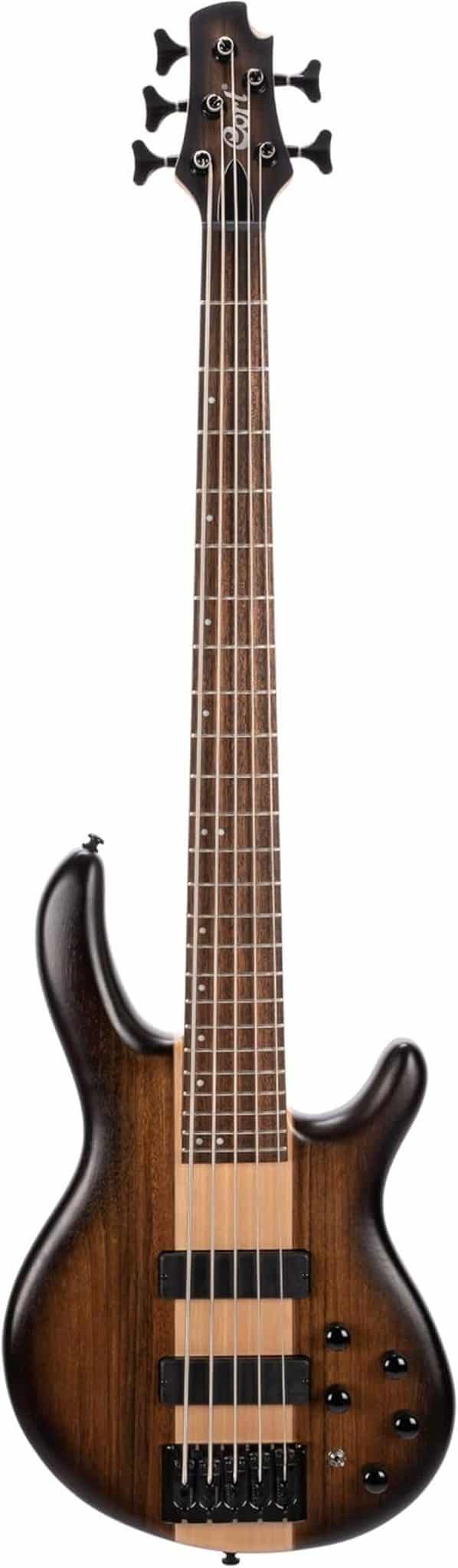 Test : basse Cort C5 Plus OVMH - puissance et design antique