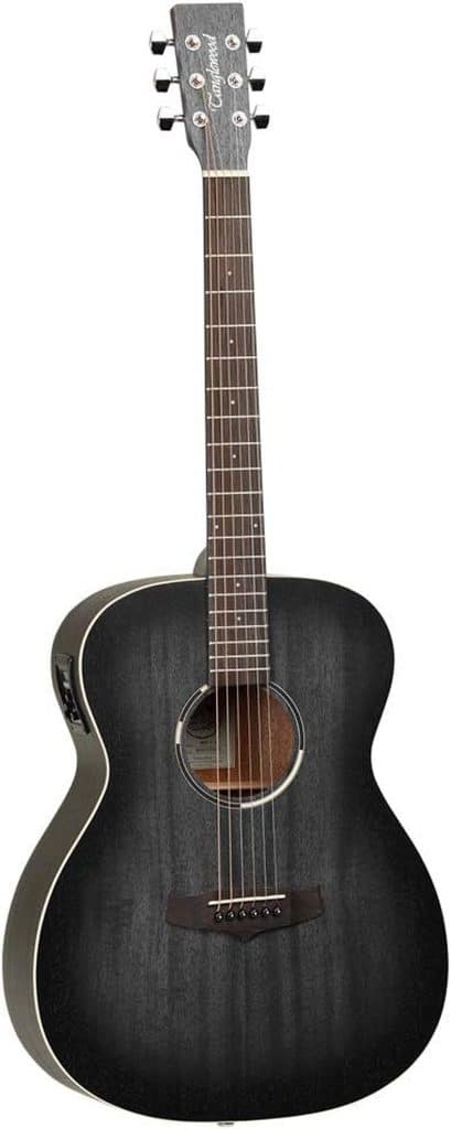 Test guitare électroacoustique Blackbird Folk