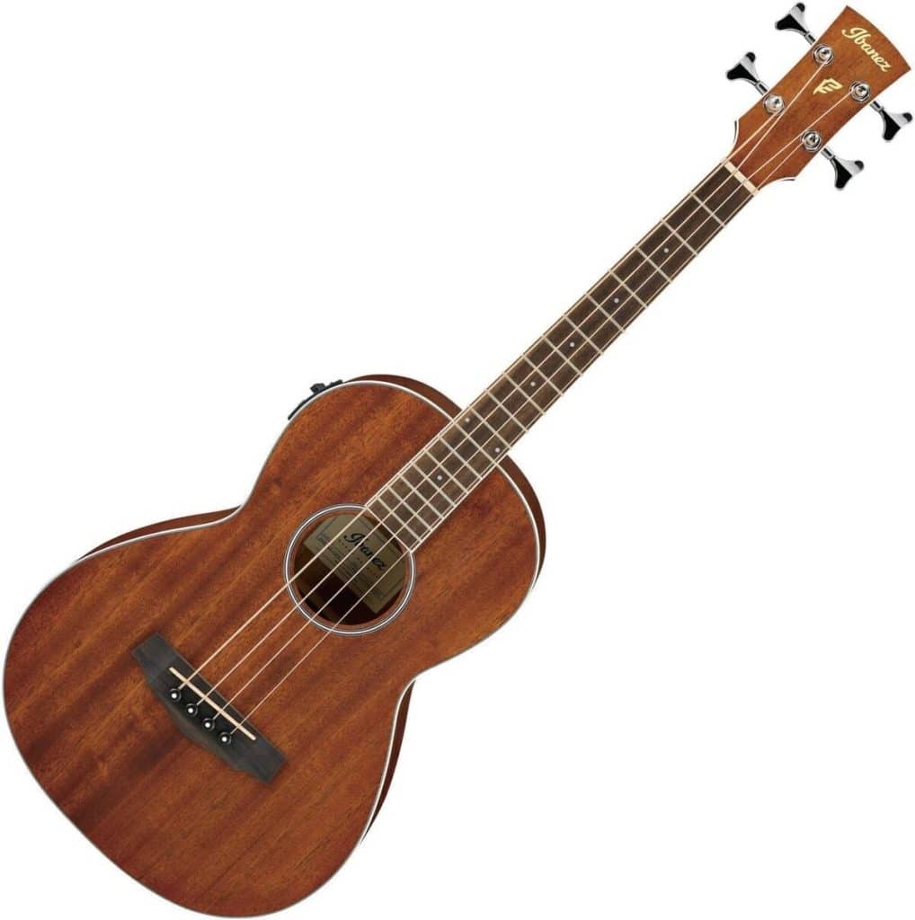 Test de la basse acoustique Ibanez PNB14E-OPN