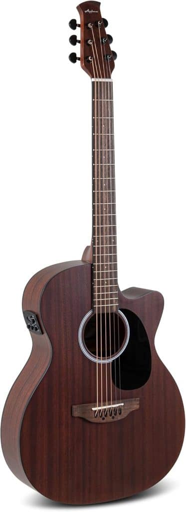 Test de la guitare électro-acoustique Applause Orchestra Aeo96-m